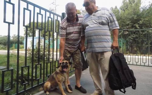 Статистика КП "Центр обращения с животными" количества пристроенных за летние месяцы животных