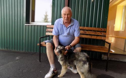 Статистика КП "Центр обращения с животными" количества пристроенных за летние месяцы животных