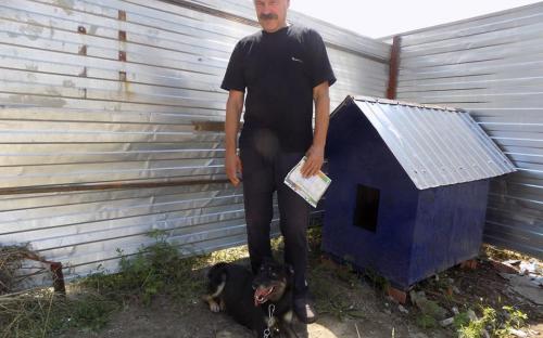 Статистика КП "Центр обращения с животными" количества пристроенных за летние месяцы животных