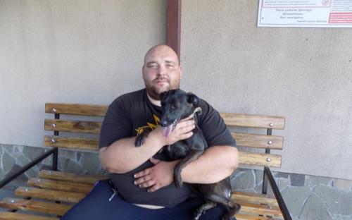 Статистика КП "Центр обращения с животными" количества пристроенных за летние месяцы животных