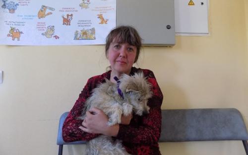 Статистика КП "Центр обращения с животными" количества пристроенных за летние месяцы животных