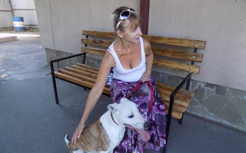 Статистика КП "Центр обращения с животными" количества пристроенных за летние месяцы животных