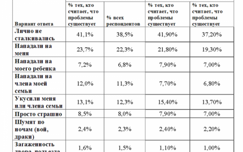 «Говорит Николаев: Бродячие животные»