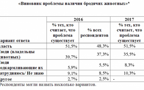 «Говорит Николаев: Бродячие животные»