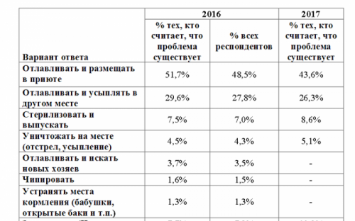 «Говорит Николаев: Бродячие животные»