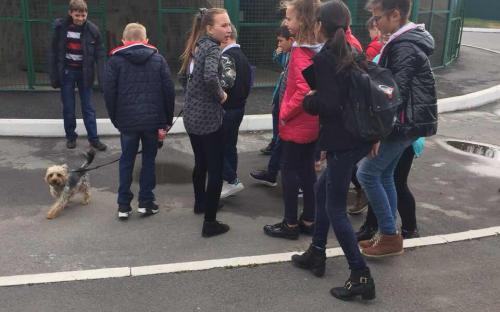 Ребята из 77 школы побывали на экскурсии в "Центре обращения с животными"