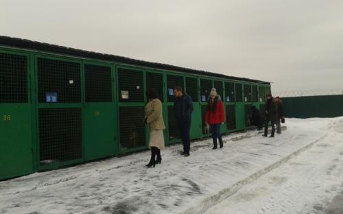 Центр обращения с животными посетили ребята из Молодежного совета при Харьковском городском голове