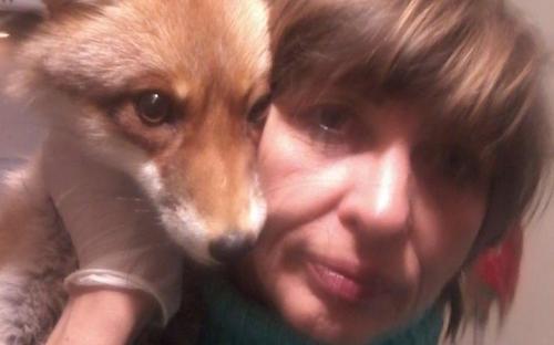 О необычных питомцах харьковского Центра содержания животных