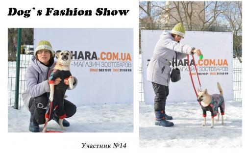 Костюмированный праздник для собак Dog`s Fashion Show