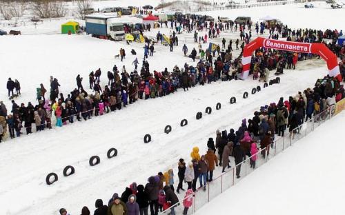 Приютские собаки нашли друзей на празднике  "Winter Dog Fest-2018"