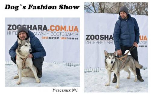 Костюмированный праздник для собак Dog`s Fashion Show