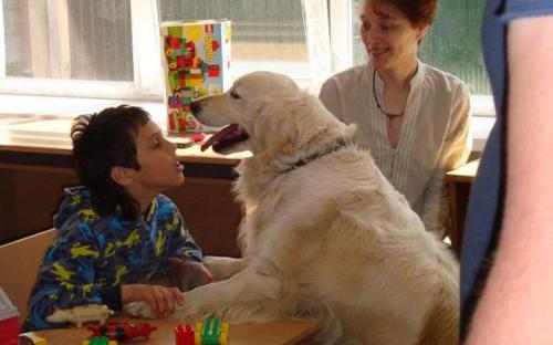 Канистерапия КП Центр обращения с животными Харьков