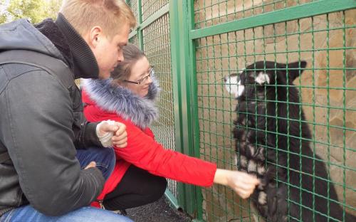 Выездное практическое занятие будущих ветеринаров