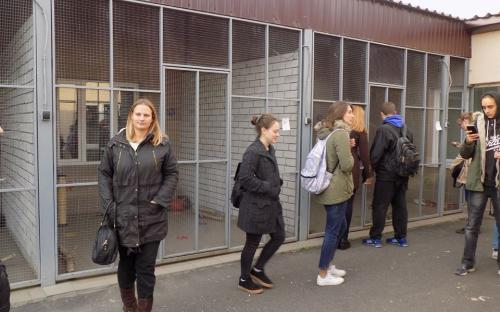 Выездное практическое занятие будущих ветеринаров