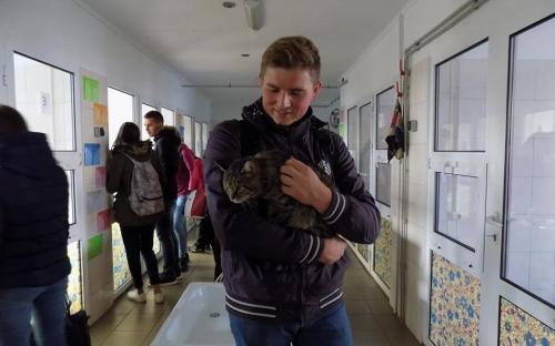 Выездное практическое занятие будущих ветеринаров