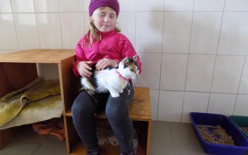 Знакомство с собаками, общение с кошками. Интересная и познавательная экскурсия