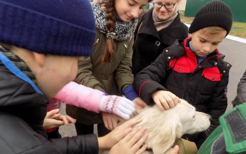 Ученики 77 харьковской школы посетили Центр обращения с животными на осенних каникулах