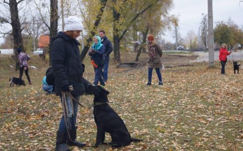 Руководство КП "Центр обращения с животными " благодарит волонтеров