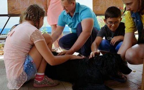 Канистерапия КП Центр обращения с животными Харьков