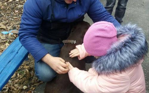 Проект «Канистерапия Харьков» побывал в Харьковской областной специальной гимназии-интернате для слепых детей им. В.Г. Короленко