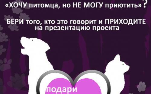 Презентация проекта "Кураторство" в лицее имени Короленко