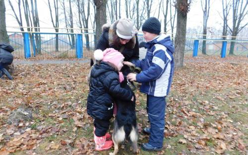 26 ноября в городском приюте для животных прошел традиционный воскресный День открытых дверей