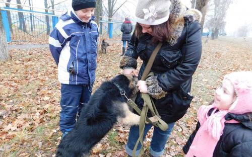 26 ноября в городском приюте для животных прошел традиционный воскресный День открытых дверей
