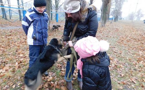 26 ноября в городском приюте для животных прошел традиционный воскресный День открытых дверей