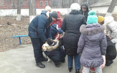 Презентация проекта "Кураторство" в лицее имени Короленко