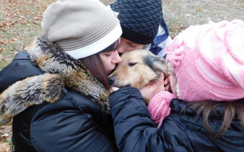 26 ноября в городском приюте для животных прошел традиционный воскресный День открытых дверей