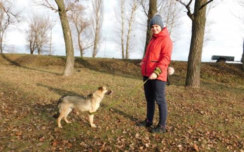 Ребята из Израильского Культурного Центра проведали питомцев Приюта