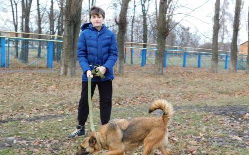 Ребята из Израильского Культурного Центра проведали питомцев Приюта
