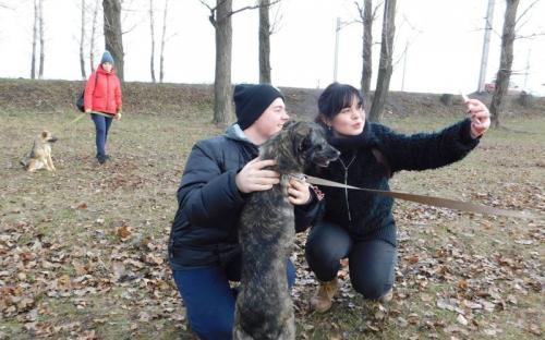 Ребята из Израильского Культурного Центра проведали питомцев Приюта