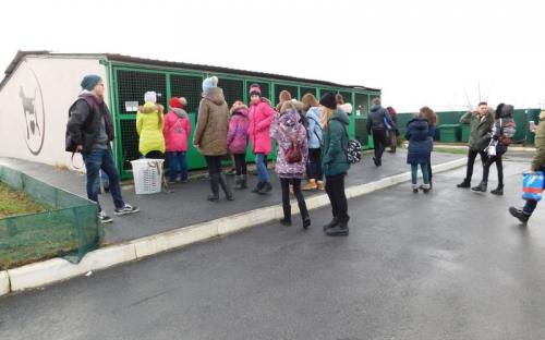 Ребята из Израильского Культурного Центра проведали питомцев Приюта