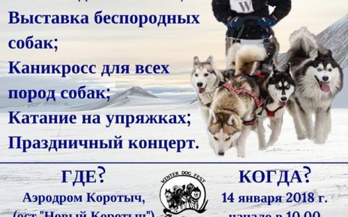 Центр обращения с животными и волонтеры группы "Открытое сердце" примут участие в зимнем Фестивале 14 января