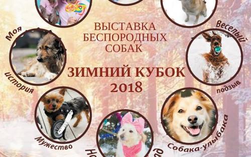 Центр обращения с животными и волонтеры группы "Открытое сердце" примут участие в зимнем Фестивале 14 января