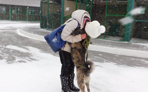 КП «Центр обращения с животными» за два месяца в добрые руки было пристроено 139 животных.
