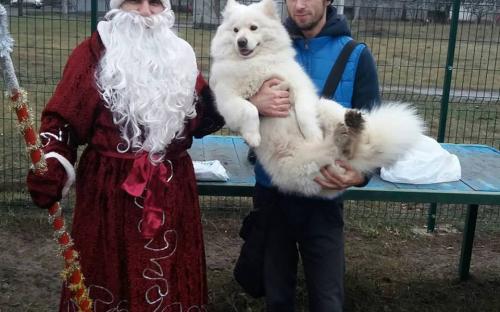 Праздник на площадке, оборудованной Центром обращения с животными