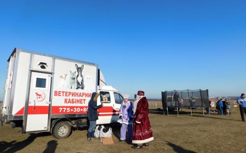 Приютские собаки нашли друзей на празднике  "Winter Dog Fest-2018"