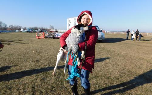 Приютские собаки нашли друзей на празднике  "Winter Dog Fest-2018"