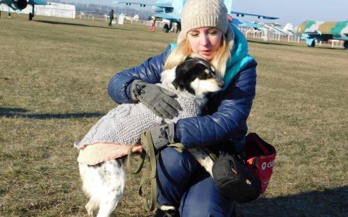Приютские собаки нашли друзей на празднике  "Winter Dog Fest-2018"