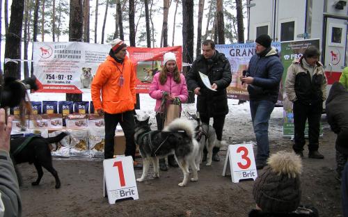 Центр обращения с животными провожал зиму в Писочине. 