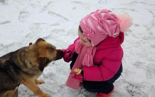 Маленькие волонтеры празднуют День рождение в Центре со своими любимыми животными. 