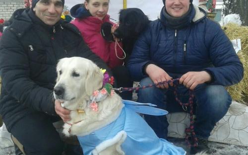 Приютские питомцы дарили любовь жителям Хорошево
