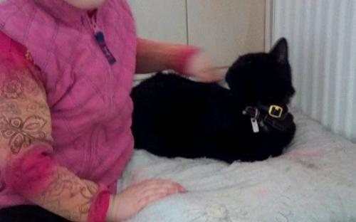 Маленькие волонтеры празднуют День рождение в Центре со своими любимыми животными. 