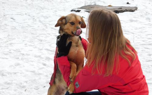 Ребята из Национального корпуса на выгуле в нашем приюте Харьков