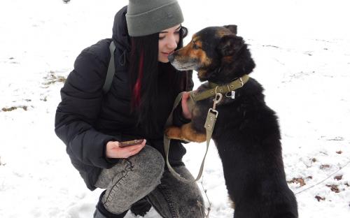 Ребята из Национального корпуса на выгуле в нашем приюте Харьков