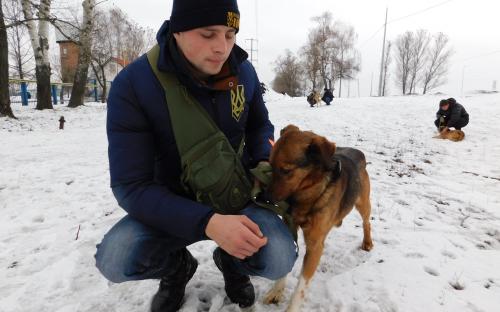 КП "Центр обращения с животными" и Dog Fashion Show 2018 анонсирует массовый забег людей с собаками