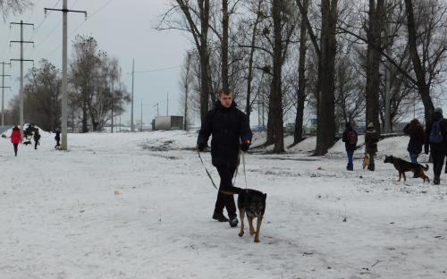 КП "Центр обращения с животными" и Dog Fashion Show 2018 анонсирует массовый забег людей с собаками