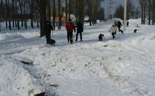 Выгул питомцев харьковского Приюта для бездомных животных 4 марта